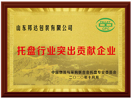 托盤行業(yè)突出貢獻(xiàn)獎